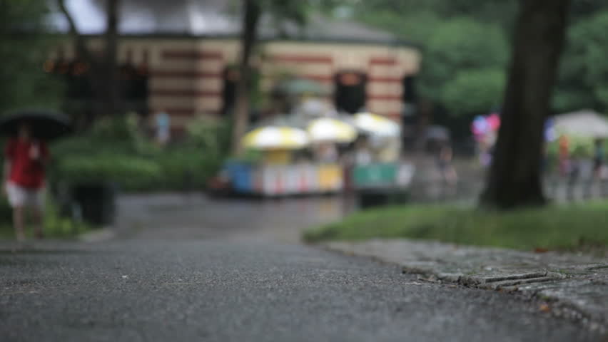people walking in the rain with umbrellas, Central Park, New York City 