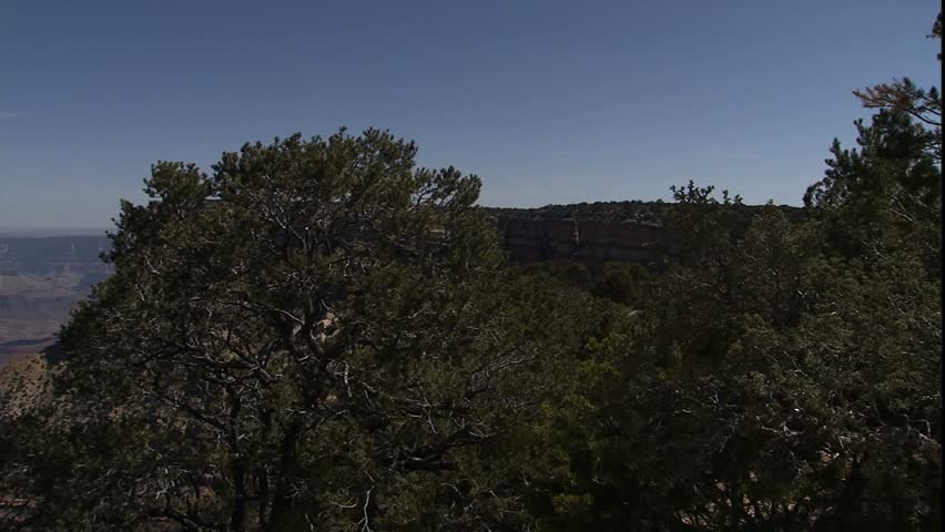 grand canyon into Colorado river at bottom of canyon in midday sun