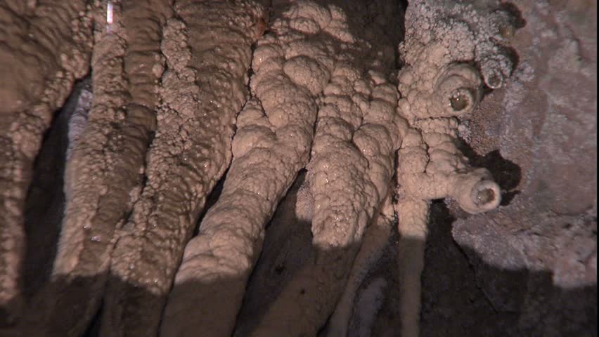 Limestone Columns and dripping stalactites in Carter Cave Kentucky