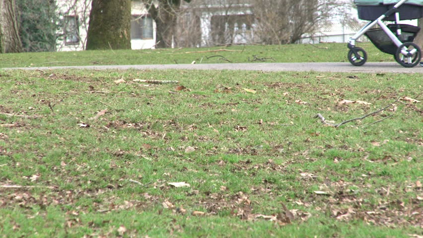 Unrecognizable woman pushing baby stroller outdoors.