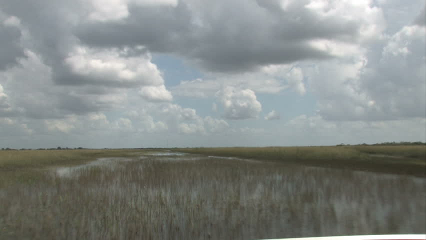 On an airboat in the Everglades