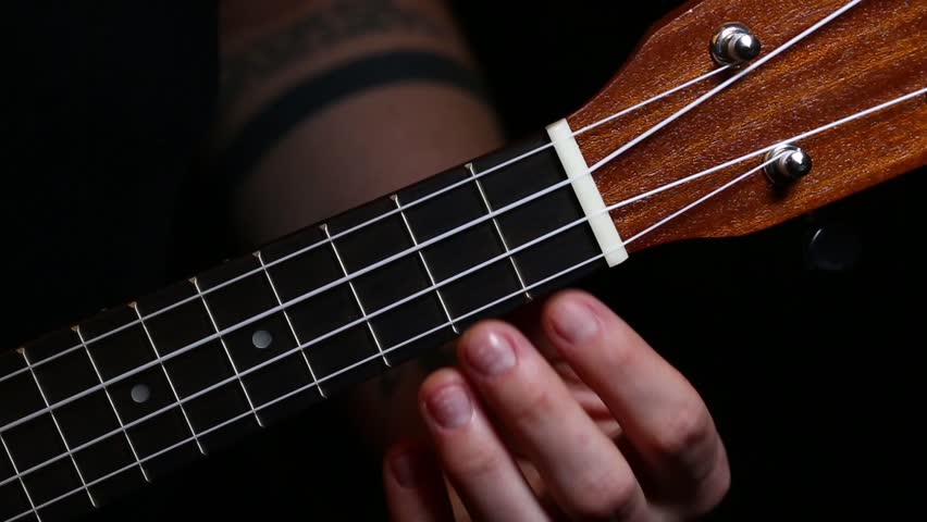 Header of ukulele