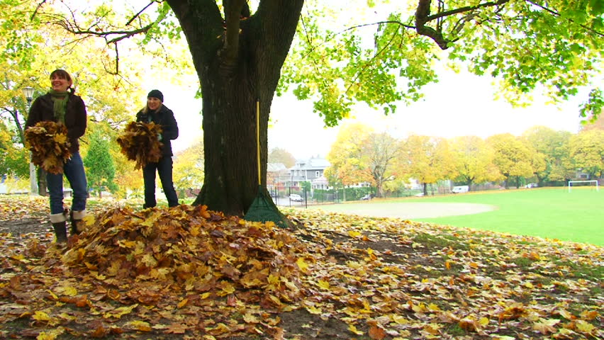 Friends enjoy a fall day by playing in leaf pile as man flips into pile and girls shower him with leaves.