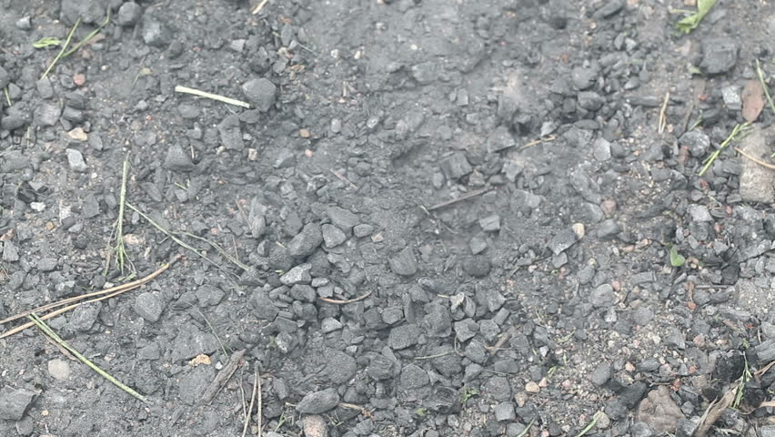spent ammunition cartridges falling from a rifle