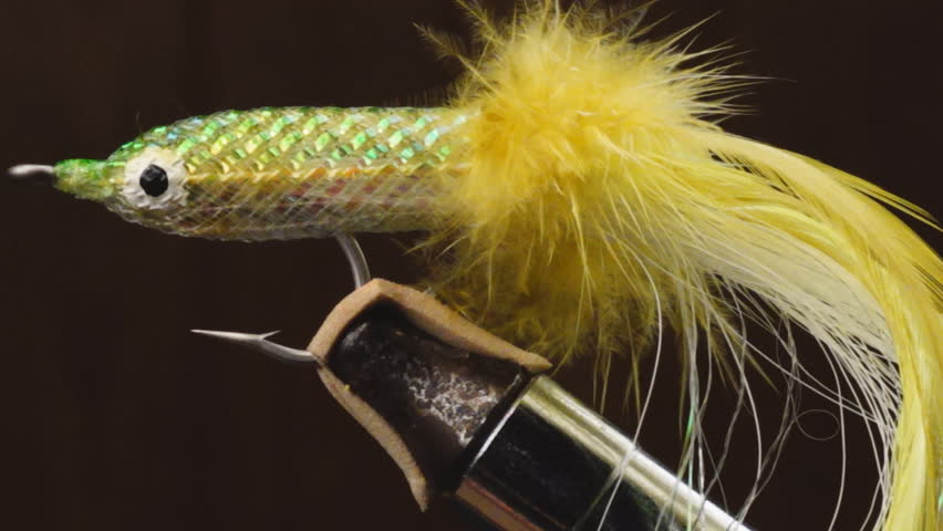 Fly tying Saltwater Streamer