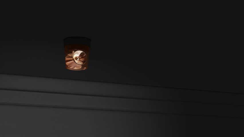 Emergency siren light.