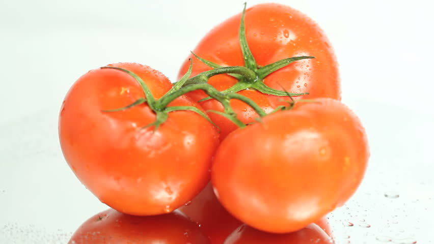 Three ripe red tomatoes sprinkled with drops of water rotating on a reflective surface and white background, seamless loop.