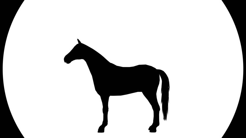 Running Horse Silhouette ( Seamless Loop ) Stock Footage Video 1523402