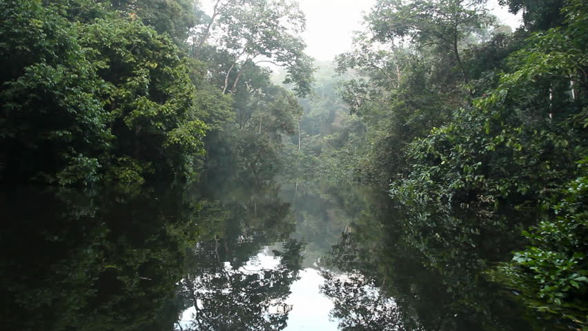 Drifting through an Amazonian oxbow lake. An old bend of the rio Tiputini in the Ecuadorian Amazon cut off from the main river.