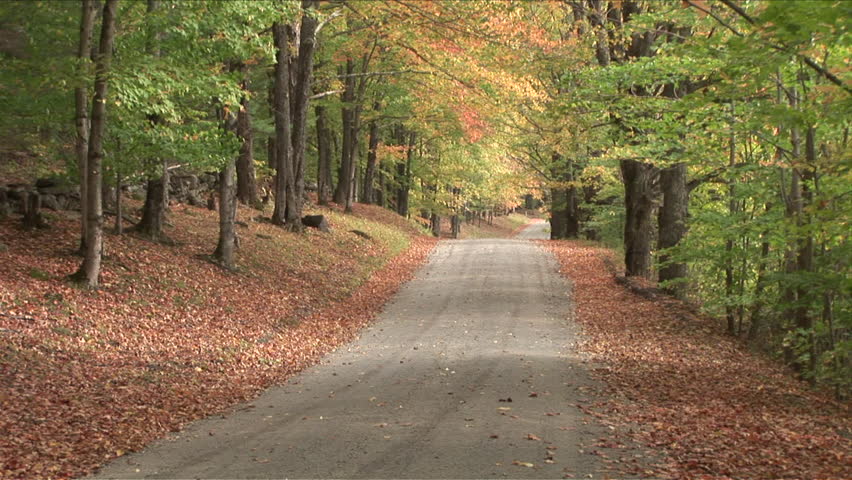 Forest road in Autumn season in Vermont United States