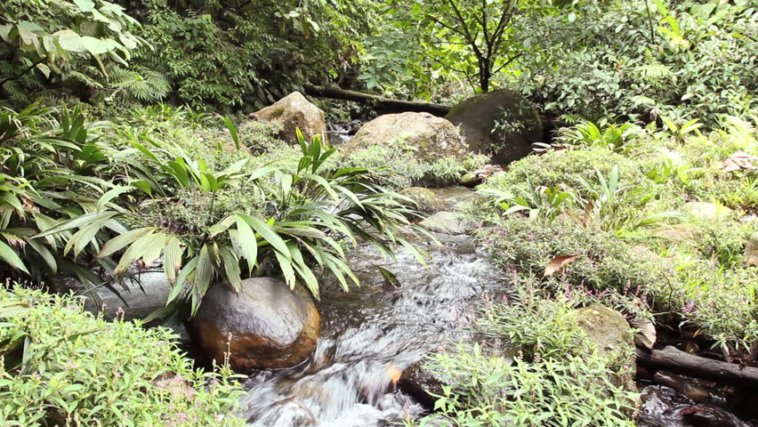 Boulder filled gully in the Choco Biogeographical Region in north-west Ecuador.
