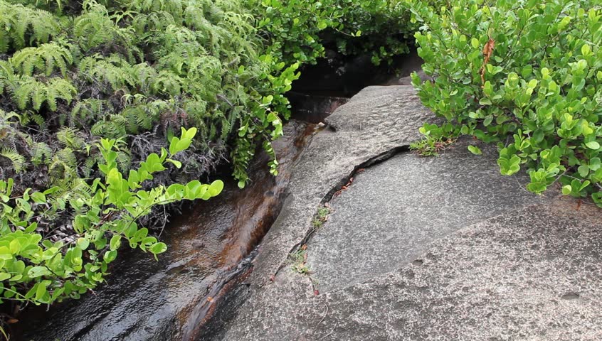 amazing natural spring source