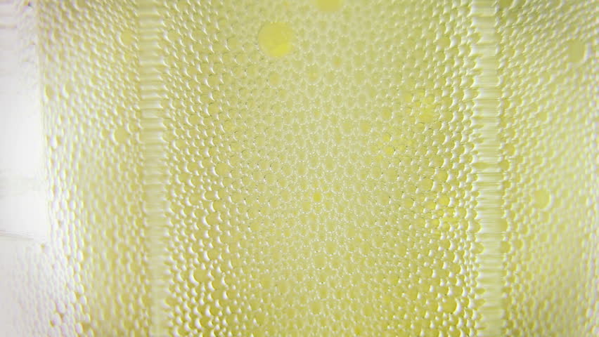 Macro clip of liquid, bubbles and froth. Abstract video that could be used as effect, transition or background and even as a conceptual video.
