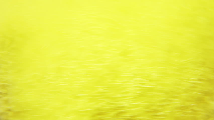 Macro clip of liquid, bubbles and froth. Abstract video that could be used as effect, transition or background and even as a conceptual video.