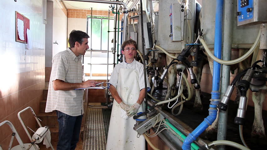 Quality Control at the Dairy Farm. HD1080p.