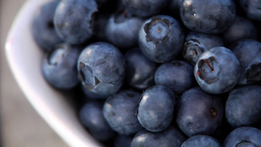 Close-up pan over bowl of blueberries
