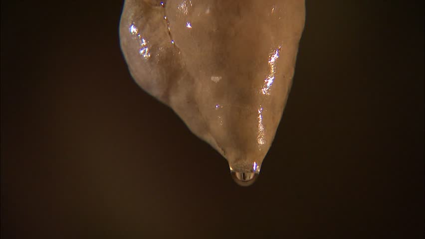 Water drop on tip of cave stalactite