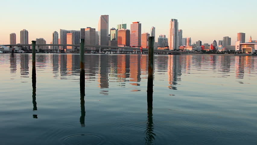 City scape video of downtown Miami, Florida, two birds come in and out
