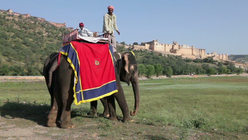JAIPUR, INDIA - CIRCA MAY 2011: Elephants waiting to carry tourists at Amber Fort