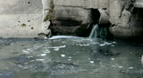 Water pollution, sewage or dirty water flows through pipes into an ocean