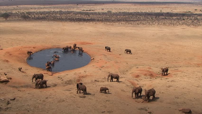 Group of elephants at a waterhole in the Kenyan National Park "Tsavo East"