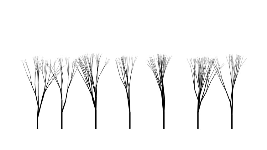 A line of isolated growing trees. The branches are bare and wintry-looking.