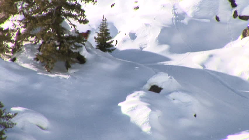 Male skier carves through back-country terrain