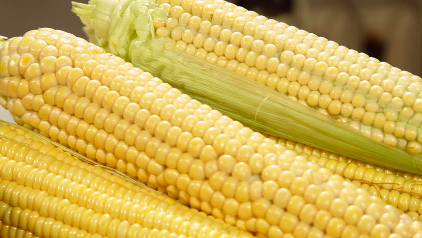 DOLLY: Corn Cob Boiling in a Pot