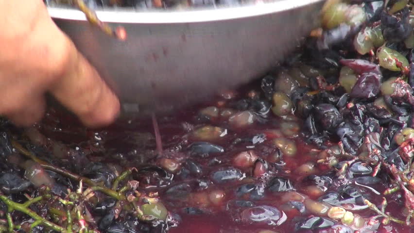 Making wine in old style