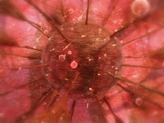 Abstract interpretation of a baby in the womb.