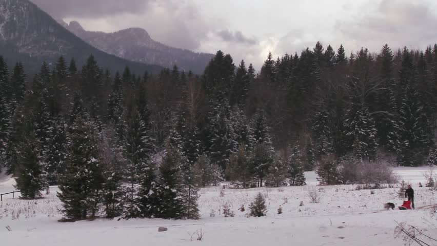SWISS ALPS, SWITZERLAND-CIRCA 2011-Sled dogs pull a rider across a frozen landscape.