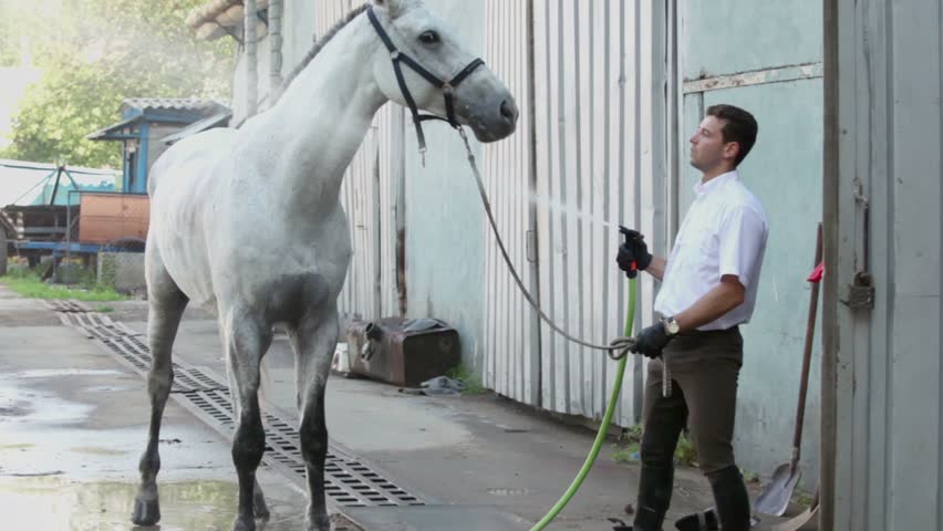 Man holds hose with water stream from it and his horse stands near