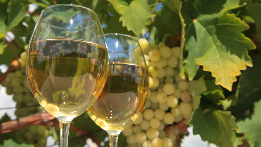 Two glasses of wine and bunch of muscat white grapes