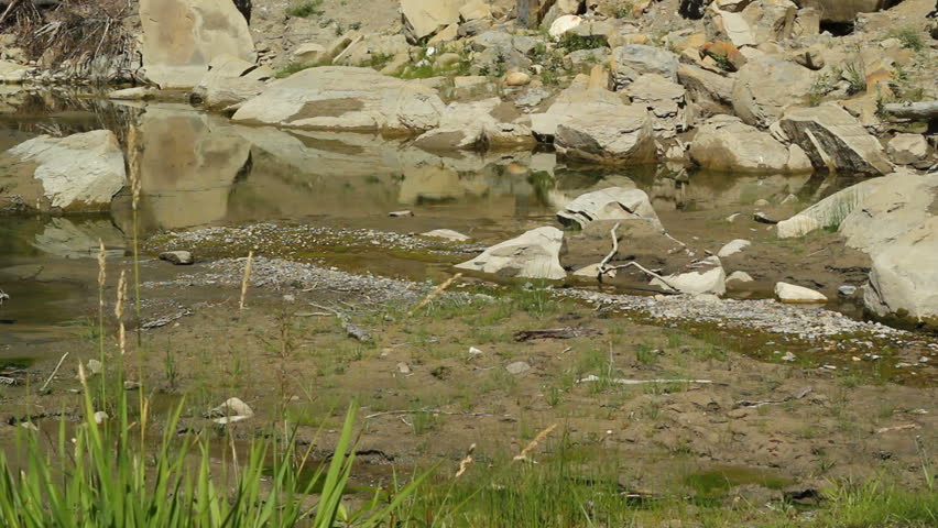 River drying up from heat wave in the summer.