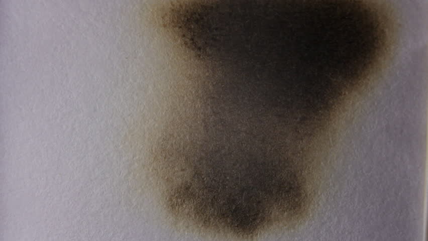 Burning paper. Macro.