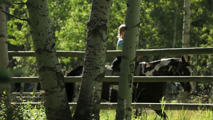 Young girl riding at Ranch Kanaskis Country Alberta Canada
