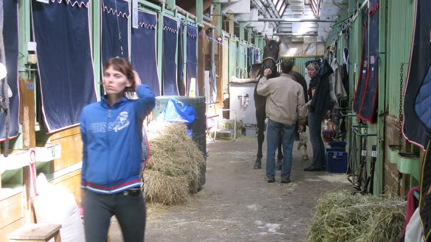 MOSCOW - JUN 9: (Timelapse View) Wrangler clean horse in barn on international competitions on show jumping CSI\xC7 Vivat Russia on Bitsevsky horse-racing complex, on Jun 9, 2012 in Moscow, Russia