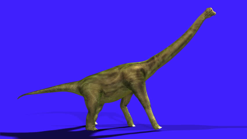 sauropod dinosaur walking
