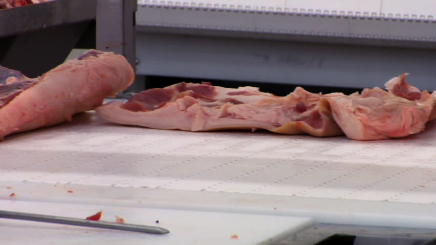 Meat conveyor