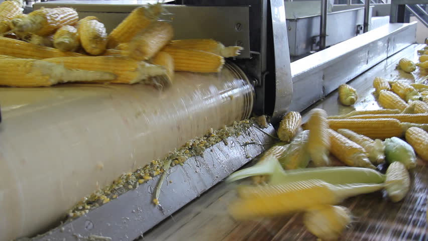 Corn processing factory
