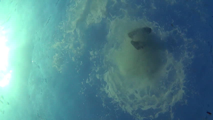 Girl jumps into the sea with fish.