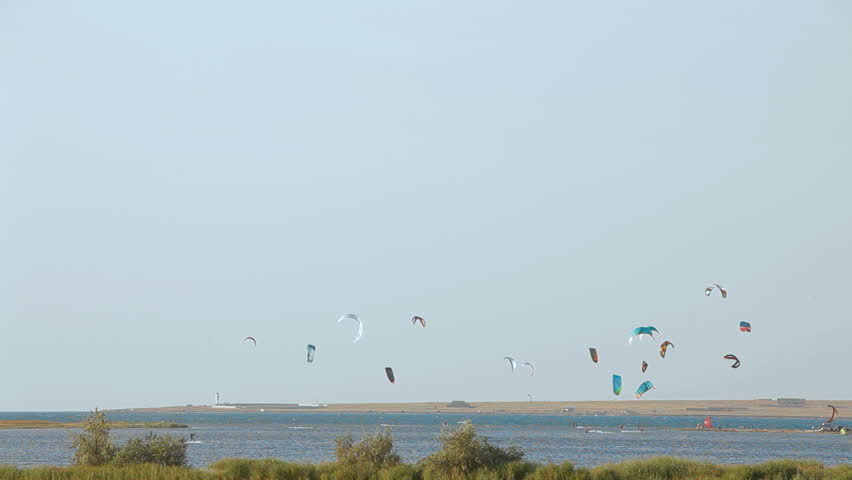 Paragliders flying above the sea on a sunny day.