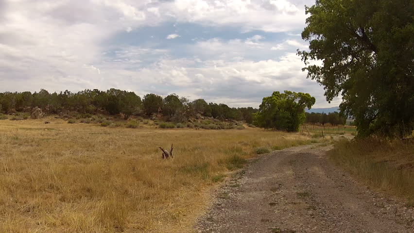 Driving on a rural farm dirt road POV. Summer recreation and sport riding an all terrain vehicle on farm or ranch dirt road. Sport Utility Vehicle side by side UTV. Four wheel drive fun excitement. 