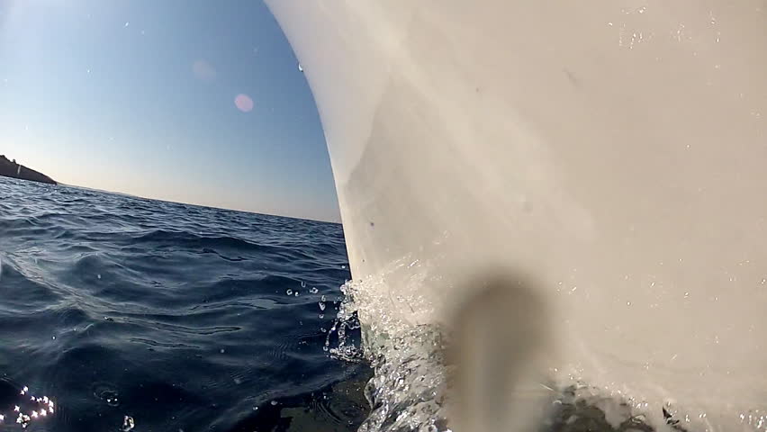 Blue sea and prove
 White cutwater and blue sea

