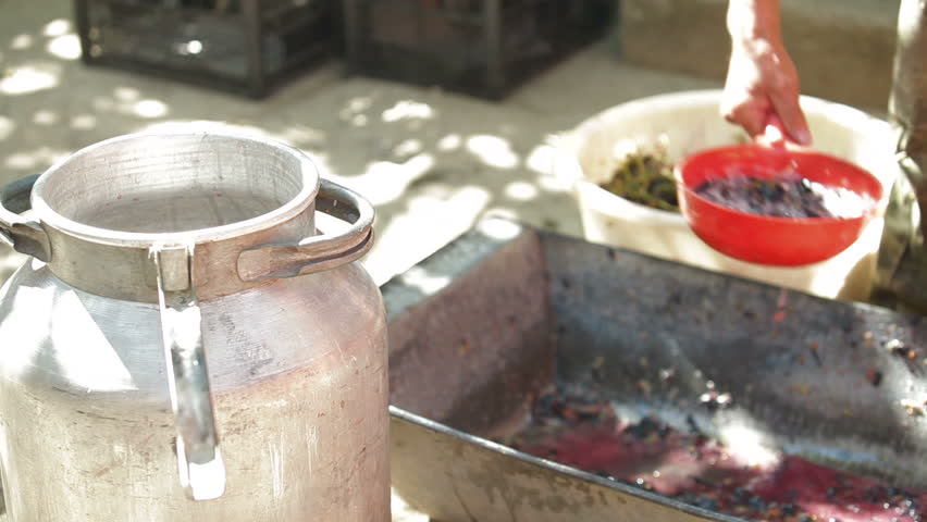 Homemade wine production - pressed grape juice pouring