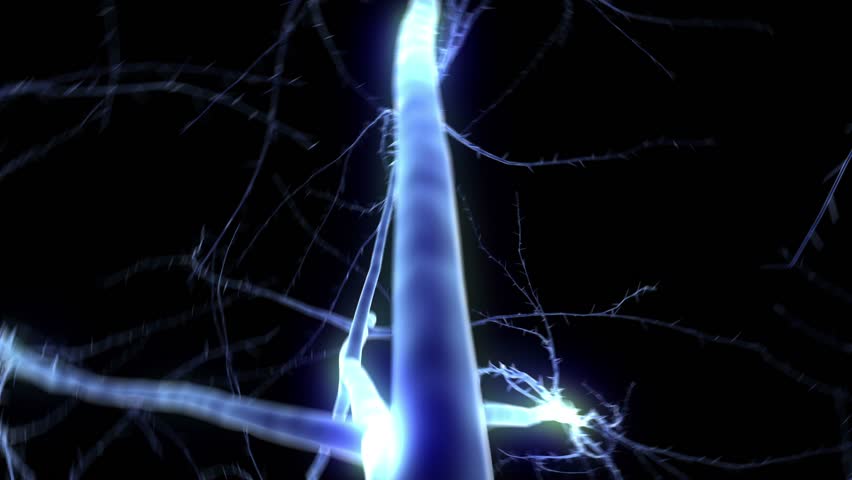 Growing up tree animated in x-ray with white mask channel