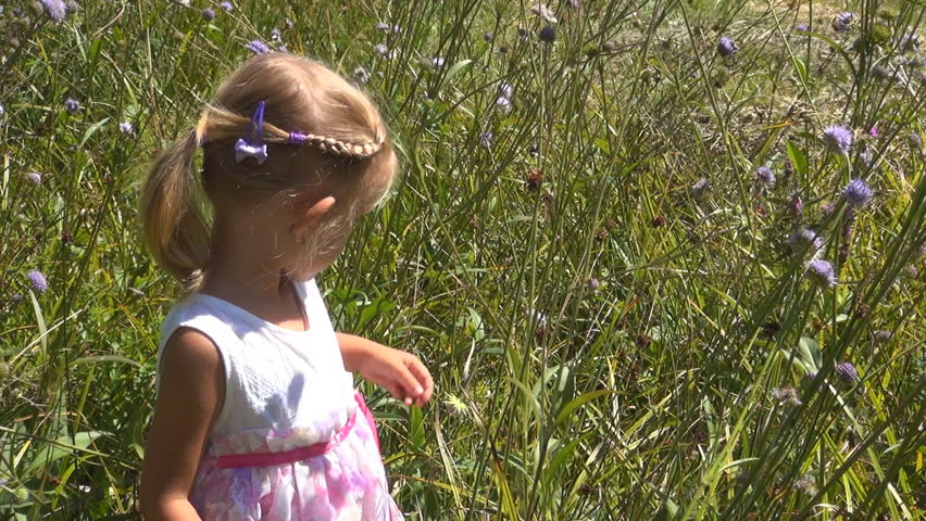 Child Collecting Wild Flowers in a Small Basket, Little Girl Playing in the Grass