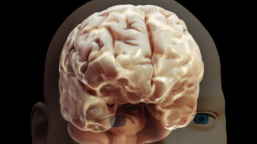 Anteriolateral and posteriolateral 3D visualisation of neural activity in brain highlighted by gold glow