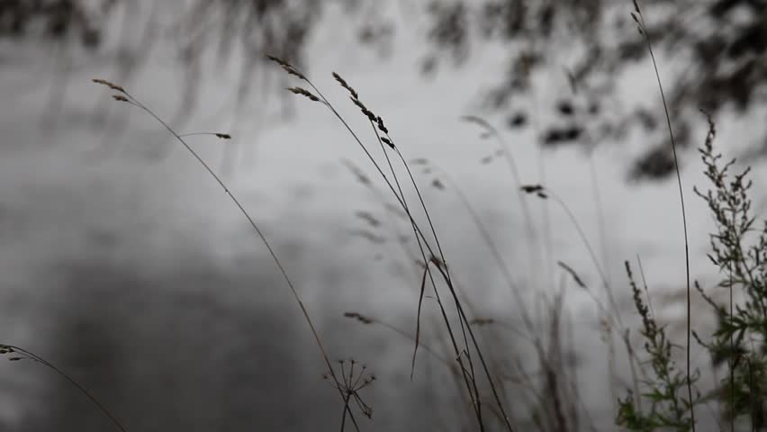 autumn rain