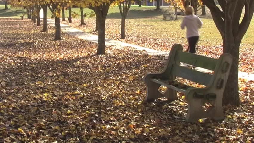 An autumn jog in the park